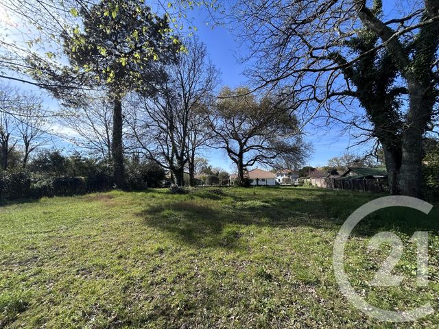 maison à vendre - 3 pièces - 77.44 m2 - ST VIVIEN DE MEDOC - 33 - AQUITAINE - Century 21 Agence Biran