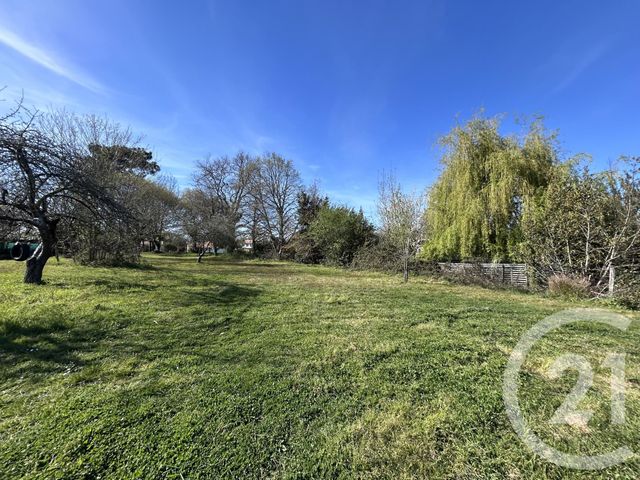 maison à vendre - 3 pièces - 77.44 m2 - ST VIVIEN DE MEDOC - 33 - AQUITAINE - Century 21 Agence Biran