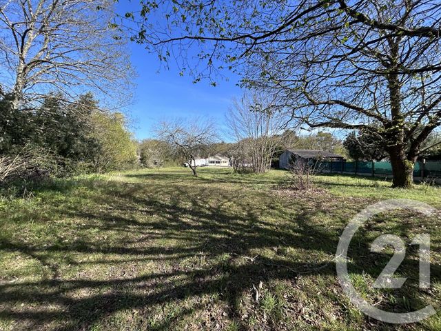 maison à vendre - 3 pièces - 77.44 m2 - ST VIVIEN DE MEDOC - 33 - AQUITAINE - Century 21 Agence Biran