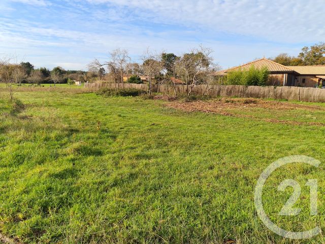 terrain - GRAYAN ET L HOPITAL - 33