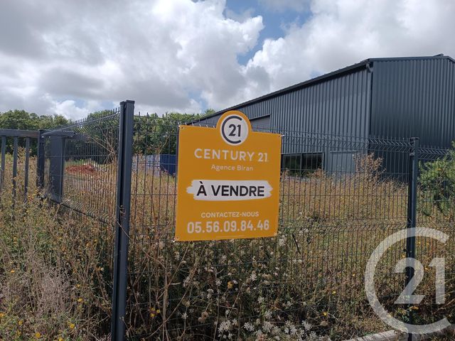 terrain à vendre - 9100.0 m2 - ST VIVIEN DE MEDOC - 33 - AQUITAINE - Century 21 Agence Biran