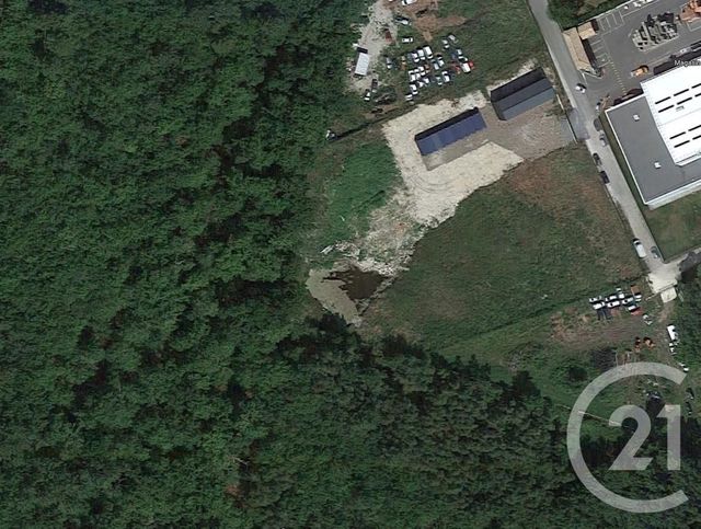 terrain à vendre - 9100.0 m2 - ST VIVIEN DE MEDOC - 33 - AQUITAINE - Century 21 Agence Biran