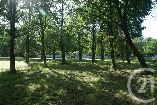 terrain à vendre - 3960.0 m2 - ST VIVIEN DE MEDOC - 33 - AQUITAINE - Century 21 Agence Biran