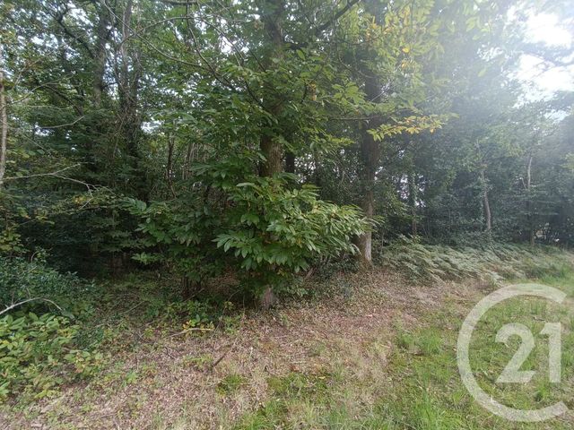 Afficher la photo en grand terrain à vendre - 3189.0 m2 - GRAYAN ET L HOPITAL - 33 - AQUITAINE - Century 21 Agence Biran