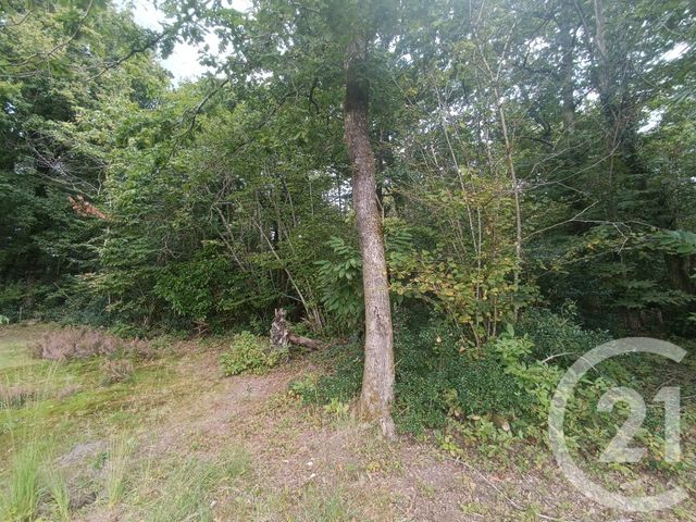 Afficher la photo en grand terrain à vendre - 3189.0 m2 - GRAYAN ET L HOPITAL - 33 - AQUITAINE - Century 21 Agence Biran