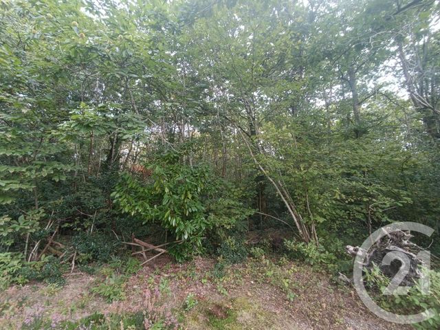 Afficher la photo en grand terrain à vendre - 3189.0 m2 - GRAYAN ET L HOPITAL - 33 - AQUITAINE - Century 21 Agence Biran