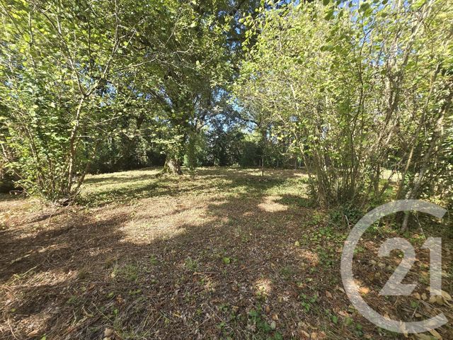 Afficher la photo en grand terrain à vendre - 2934.0 m2 - ST VIVIEN DE MEDOC - 33 - AQUITAINE - Century 21 Agence Biran