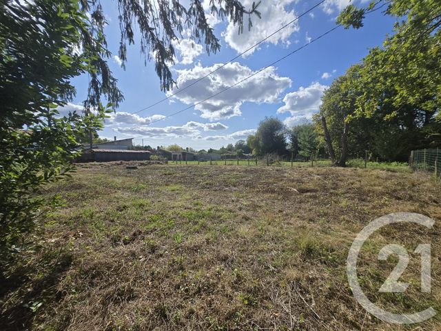 Afficher la photo en grand terrain à vendre - 2934.0 m2 - ST VIVIEN DE MEDOC - 33 - AQUITAINE - Century 21 Agence Biran