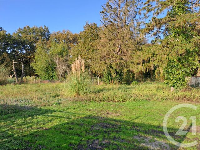 Afficher la photo en grand terrain à vendre - 2934.0 m2 - ST VIVIEN DE MEDOC - 33 - AQUITAINE - Century 21 Agence Biran
