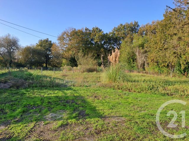 Afficher la photo en grand terrain à vendre - 2934.0 m2 - ST VIVIEN DE MEDOC - 33 - AQUITAINE - Century 21 Agence Biran
