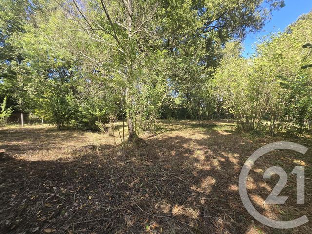 Afficher la photo en grand terrain à vendre - 2934.0 m2 - ST VIVIEN DE MEDOC - 33 - AQUITAINE - Century 21 Agence Biran