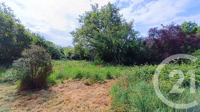 maison à vendre - 3 pièces - 101.75 m2 - ST VIVIEN DE MEDOC - 33 - AQUITAINE - Century 21 Agence Biran