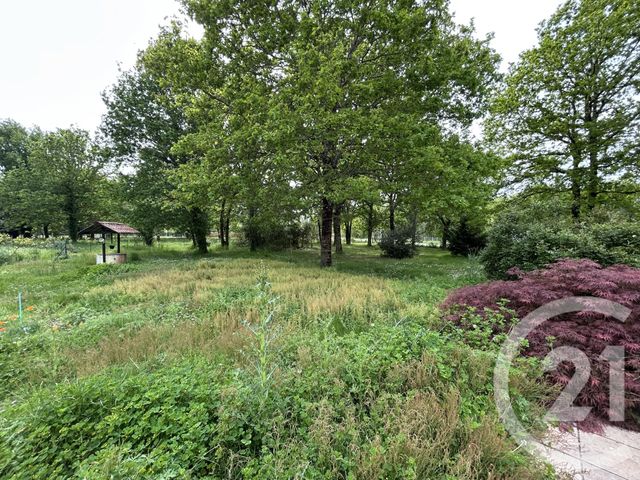 maison à vendre - 5 pièces - 140.58 m2 - ST VIVIEN DE MEDOC - 33 - AQUITAINE - Century 21 Agence Biran