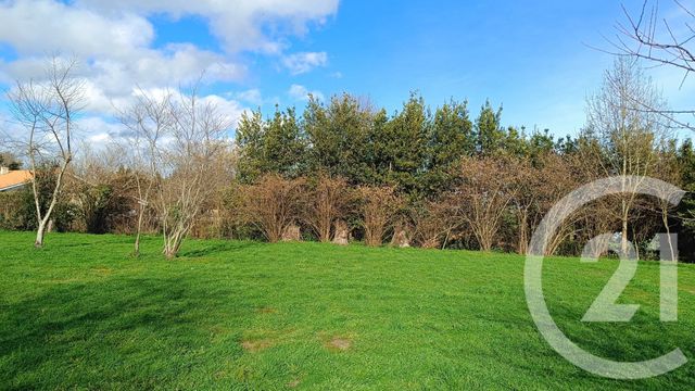 Terrain à vendre TALAIS