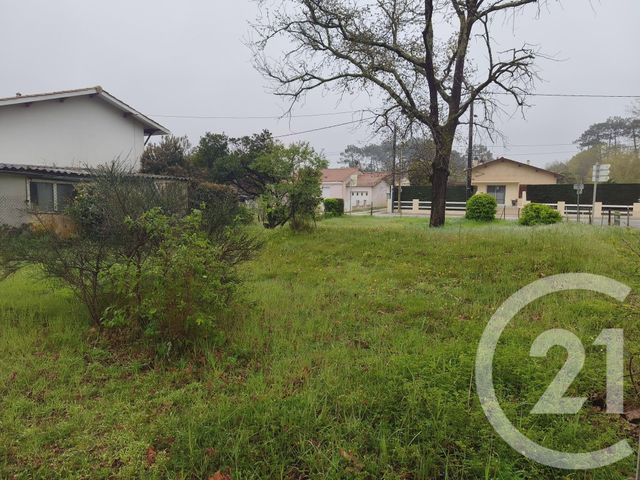 terrain à vendre - 540.0 m2 - SOULAC SUR MER - 33 - AQUITAINE - Century 21 Agence Biran
