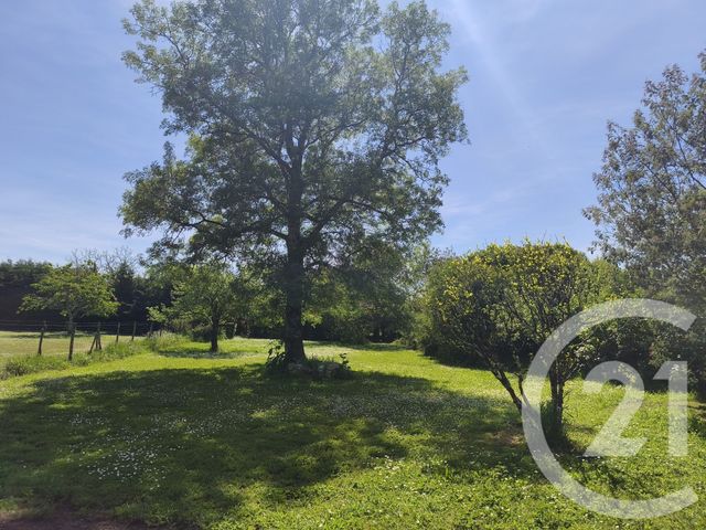 maison à vendre - 7 pièces - 230.0 m2 - ST VIVIEN DE MEDOC - 33 - AQUITAINE - Century 21 Agence Biran