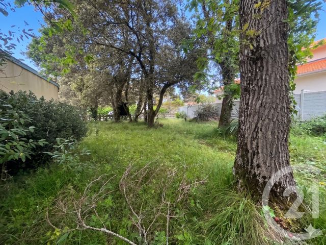 terrain à vendre - 395.0 m2 - SOULAC SUR MER - 33 - AQUITAINE - Century 21 Agence Biran