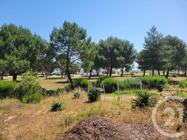 terrain à vendre - 678.0 m2 - LE VERDON SUR MER - 33 - AQUITAINE - Century 21 Agence Biran