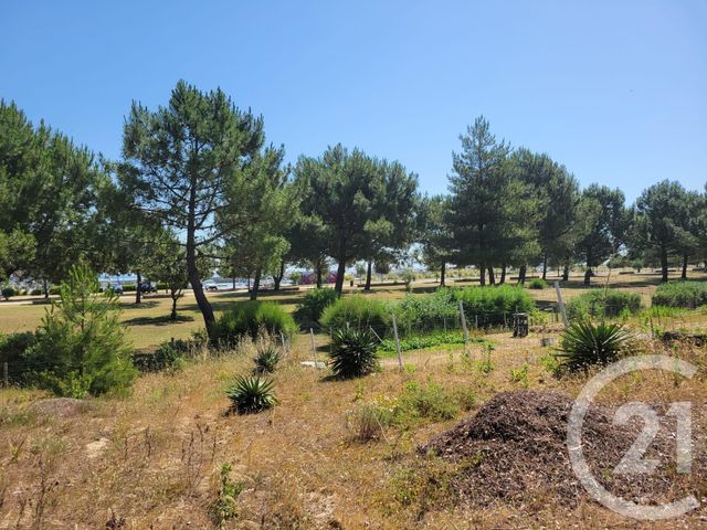 terrain - LE VERDON SUR MER - 33